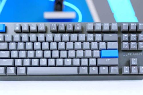Đánh giá Endorfy Thock V2 TKL Wireless: Bàn phím cơ thock giá hời
