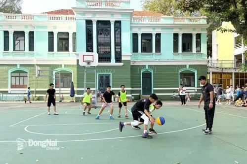 48 đội tham gia Giải bóng rổ 3x3 lần thứ I năm 2025