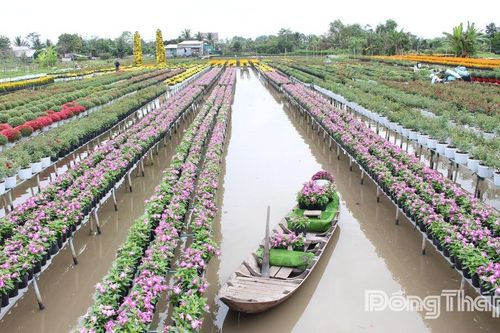 Nghề trồng hoa - kiểng Sa Đéc được công nhận Di sản văn hóa phi vật thể quốc gia
