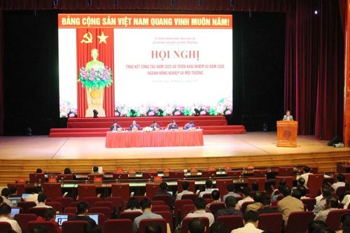 Gia Lai: Phấn đấu tốc độ tăng trưởng nông - lâm nghiệp và thủy sản năm 2026 đạt 3,7-3,8%