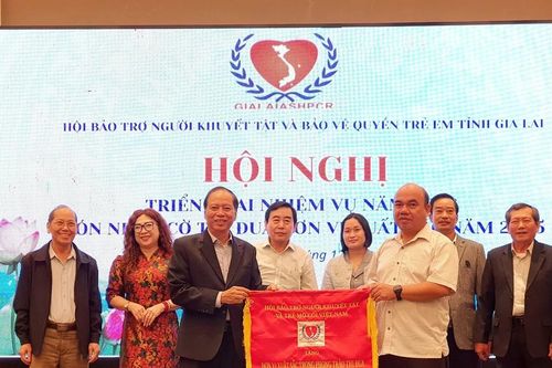 Hội Bảo trợ Người khuyết tật và Bảo vệ quyền trẻ em tỉnh triển khai nhiệm vụ năm 2026