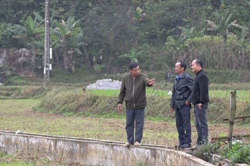 Người đảng viên gương mẫu