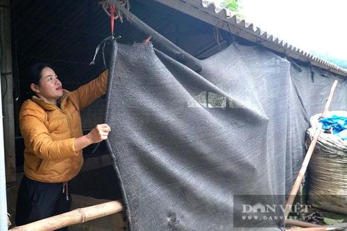 Biện pháp bảo vệ cây trồng, vật nuôi trước giá rét và sương muối ở Lào Cai