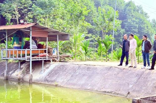 Về vùng quê kinh tế mới