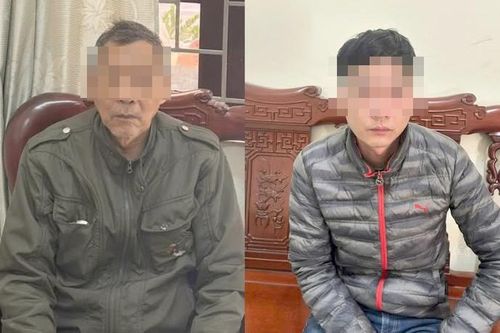 Hà Nội: Tạm giữ hình sự hai cha con vụ xua chó cắn người ở xã Hồng Vân