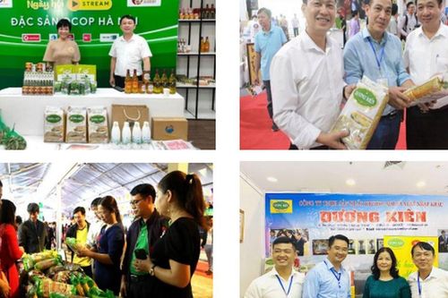 Giải bài toán thị hiếu cho sản phẩm OCOP bằng thiết kế sáng tạo