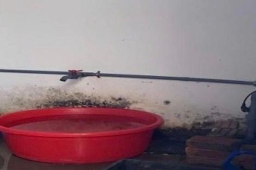 Phát hiện loạt vi phạm nghiêm trọng trong công tác cung cấp suất ăn bán trú cho trường học của Công ty Nhật Anh