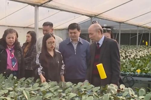 Hội Nhà báo Thành phố tổ chức đi thực tế địa phương