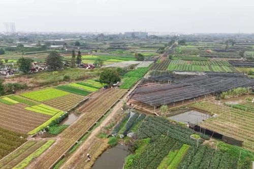 Tăng tốc GPMB tại khu công nghệ cao sinh học Hà Nội