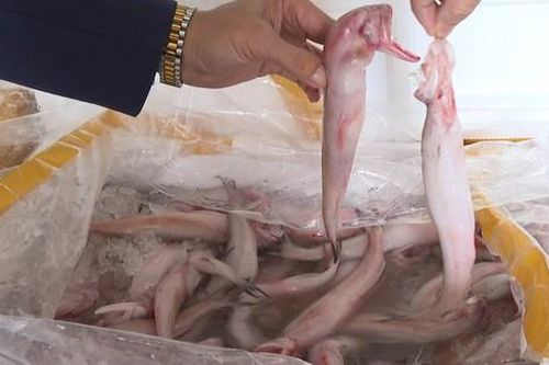 Từ vụ cá khoai tẩm formol, chuyên gia chỉ rõ nguy hại với sức khỏe con người