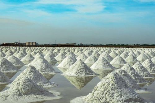 Muối trên Trái Đất nhiều cỡ nào?