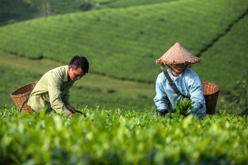 'Giới trẻ không thờ ơ, nhưng còn thụ động với di sản'