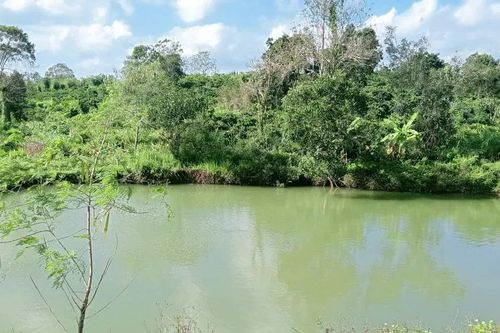 Đắk Lắk: Rủ nhau ra hồ tắm, 3 em nhỏ bị đuối nước