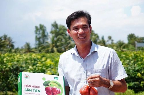Lai tạo giống mận mới, 'nhà khoa học nông dân' thu hàng chục tỷ mỗi năm