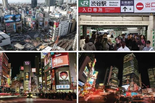 Cuộc đại tu Shibuya và kinh nghiệm tái phát triển đô thị từ Tokyo