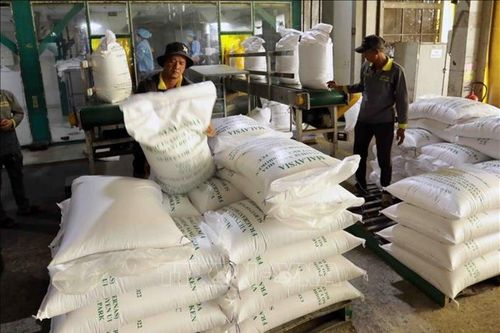 Giá gạo châu Á trái chiều, thị trường nông sản toàn cầu biến động cuối năm 2025