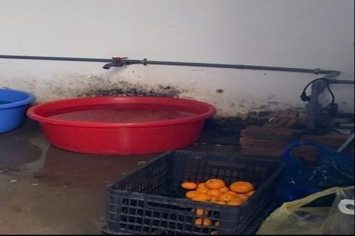 Kiểm tra bếp cung cấp suất ăn học sinh của Công ty Nhật Anh, công an phát hiện loạt vi phạm