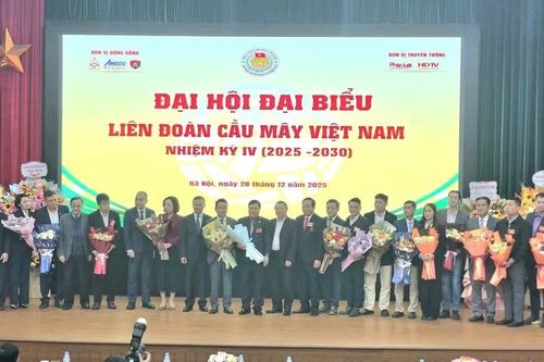 Cầu mây Việt Nam 'tự tin phát triển, khẳng định vị thế'