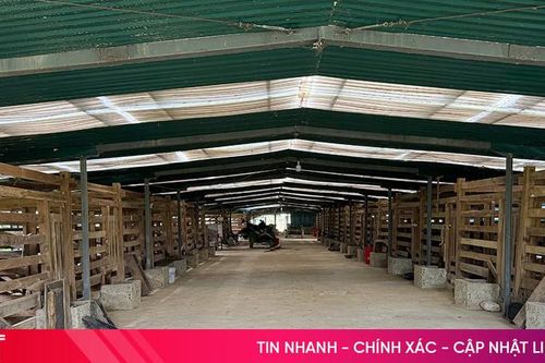 Trang trại xanh giữa miền biên giới Hà Tĩnh