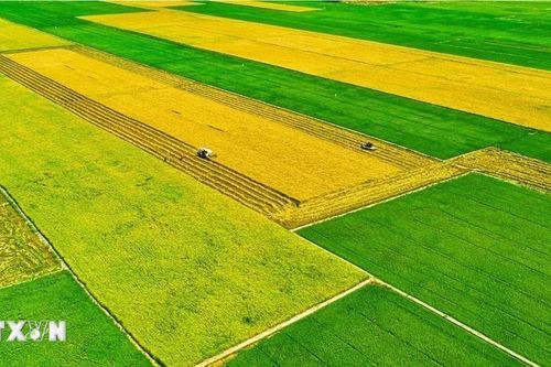 Ba Chương trình Mục tiêu Quốc gia tạo chuyển biến toàn diện vùng nông thôn