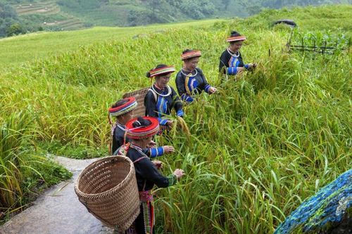 Truyền thông giảm nghèo ở Thái Nguyên: Hiệu quả thực chất và định hướng giai đoạn 2026–2030