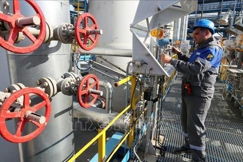 Nga gia hạn lệnh cấm xuất khẩu xăng để ổn định thị trường trong nước