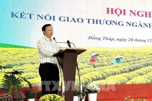 Kết nối giao thương thúc đẩy ngành hoa cảnh Đồng Tháp