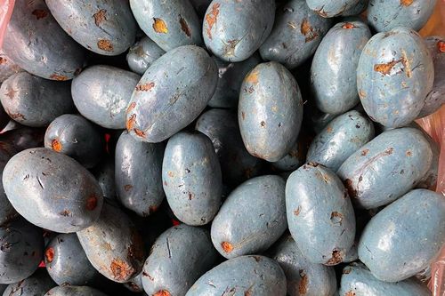 Loại quả đen sì ở Phú Thọ bất ngờ nổi lên như cồn, người khen béo bùi, người chê 'rùng mình' khi vừa cắn thử