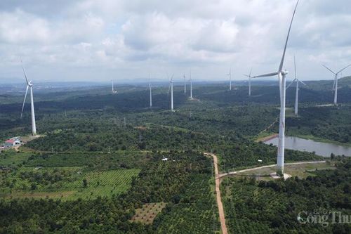 Đắk Lắk: Tăng trưởng ấn tượng của nhóm ngành chủ lực
