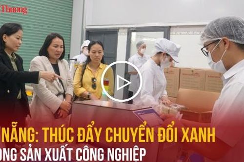 Đà Nẵng: Thúc đẩy chuyển đổi xanh trong sản xuất công nghiệp