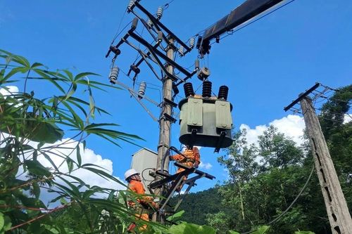 Đội quản lý điện lực khu vực Quan Hóa tập trung nâng cấp hệ thống lưới điện