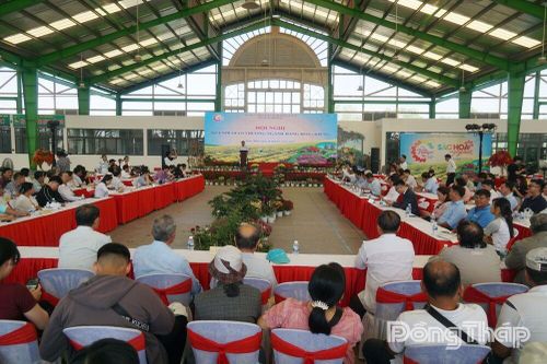 Kết nối giao thương, mở rộng thị trường cho ngành hàng hoa, kiểng Sa Đéc