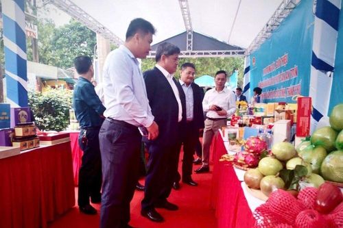 Đồng Tháp nâng chất chuỗi nông sản an toàn, mở rộng kết nối thị trường Hà Nội