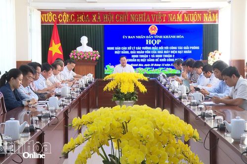 Khẩn trương xử lý các vướng mắc trong triển khai Dự án Nhà máy điện hạt nhân Ninh Thuận