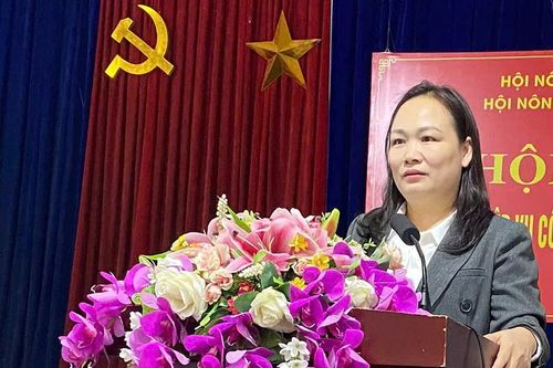 Trên 200 hội viên nông dân tham gia tập huấn nghiệp vụ công tác hội