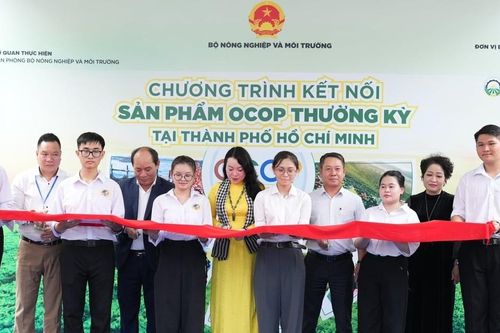 Khai mạc Hội chợ OCOP đặc sản vùng miền và ẩm thực tại TP.HCM