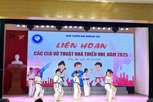Liên hoan các CLB Võ thuật Nhà Thiếu nhi tỉnh Quảng Trị mở rộng năm 2025