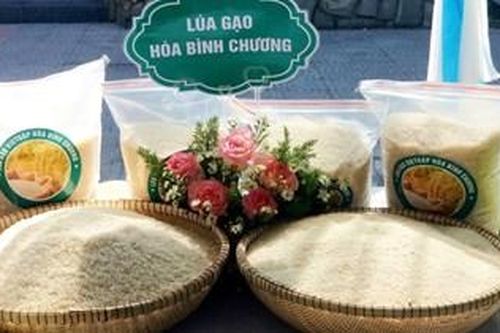 An cư vững, sinh kế bền