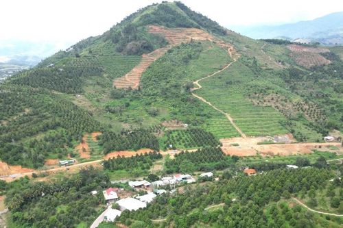 Nâng tầm giá trị nông sản vùng núi Khánh Hòa