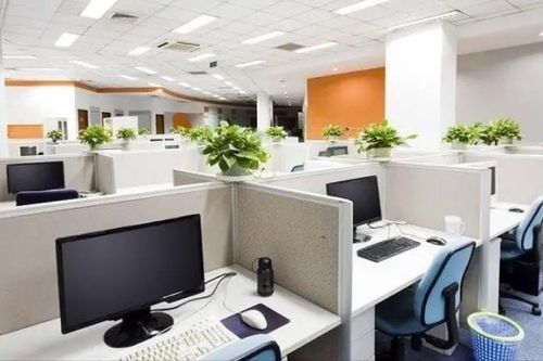 Làn sóng doanh nghiệp mua thay vì thuê văn phòng