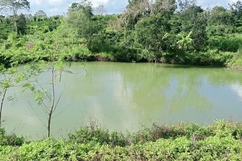 3 cháu bé đuối nước tử vong thương tâm khi rủ nhau tắm hồ