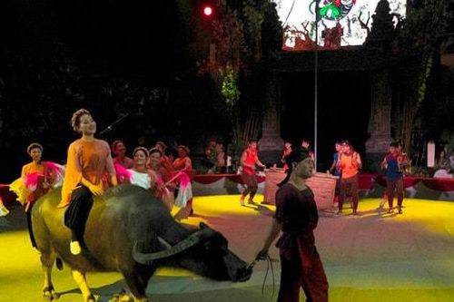 Đưa tranh Đông Hồ sống lại bằng ngôn ngữ xiếc đương đại