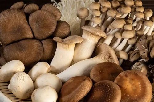 Các thực phẩm giàu chất dinh dưỡng, giàu chất sắt cho trẻ