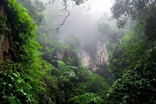 Khám phá tour xuyên rừng chinh phục 'nóc nhà' Cúc Phương
