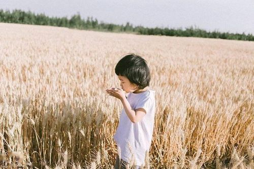 10 năm nữa, những đứa trẻ thành công nhất thường bước ra từ 7 kiểu gia đình này: Cha mẹ rất nên đọc