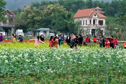 Không gian sau hợp nhất - đòn bẩy mới cho phát triển du lịch Quảng La