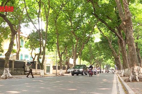 Mở rộng diện khấu trừ lương để cưỡng chế thi hành xử phạt hành chính từ năm 2026