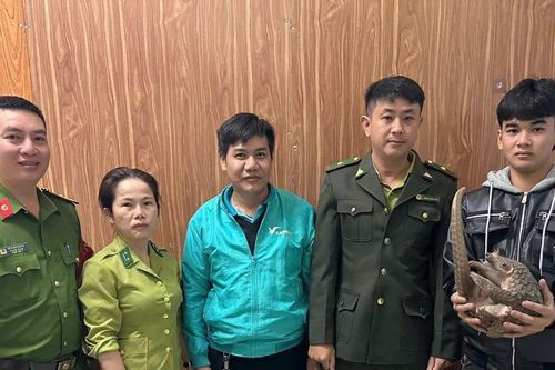 Quảng Ngãi: Thả cá thể tê tê về rừng