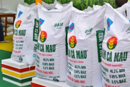 Ngành phân bón năm 2026 dự báo nhiều gam màu sáng