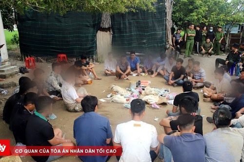 'Đột kích' khu đất trống sau nhà hoang, bắt quả tang 35 đối tượng đá gà